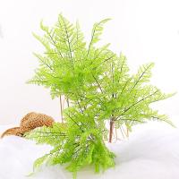 uploads/erp/collection/images/Home Garden/CongDing/XU0611519/img_b/XU0611519_img_b_5